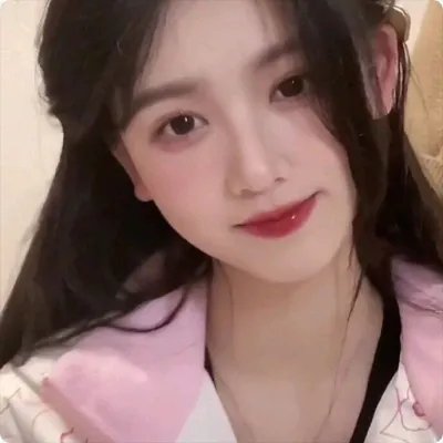 雁南飞